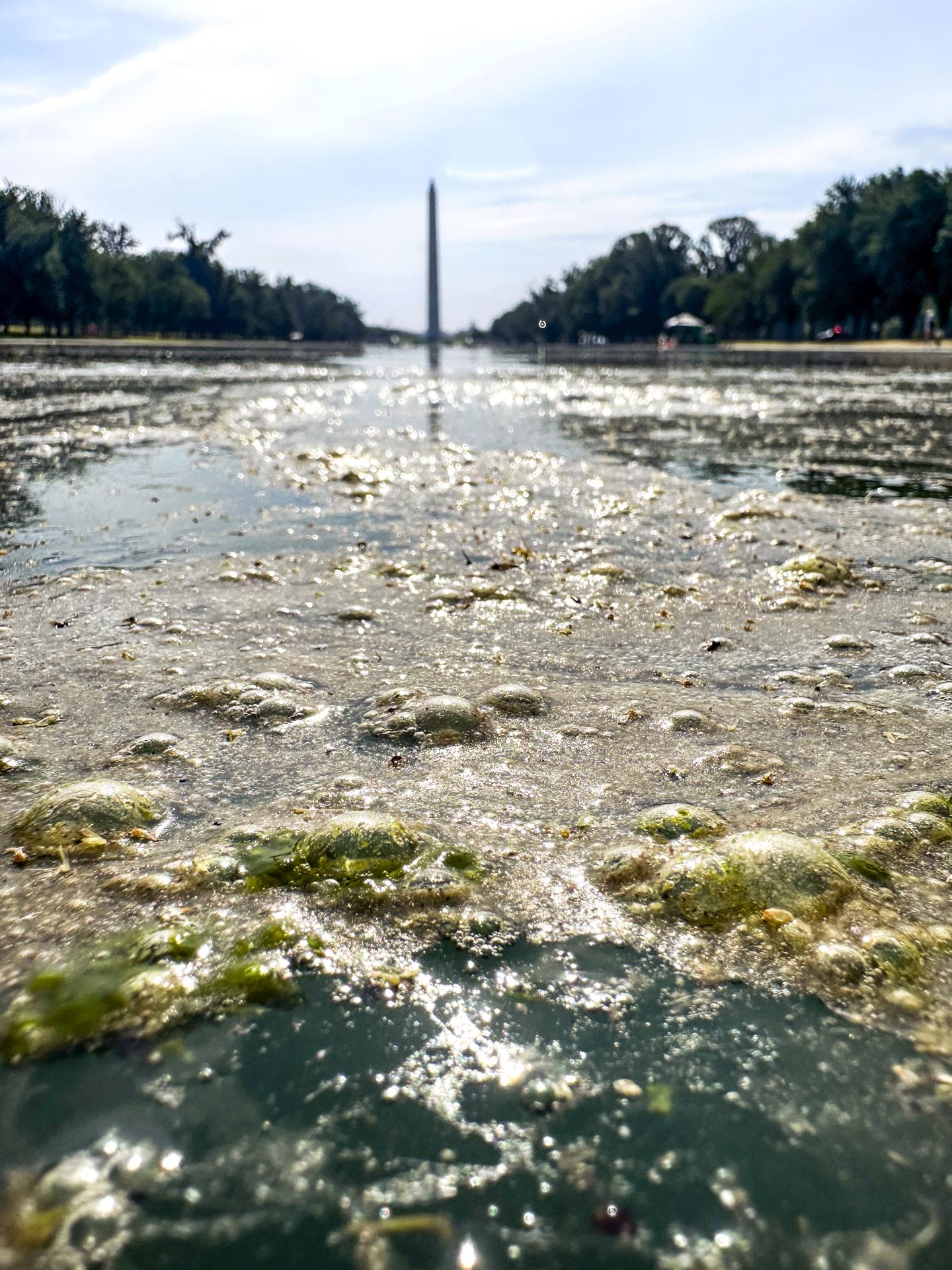 EFE/EPA/JIM LO SCALZO
