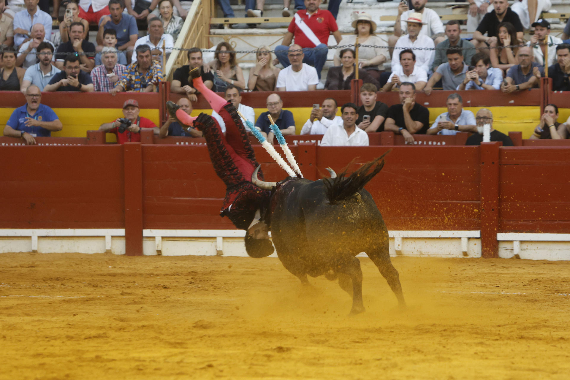 Un banderillero es cogido en la corrida de la Feria de Hogueras celebrada este lunes en la plaza de toros de Alicante. EFE/Morell