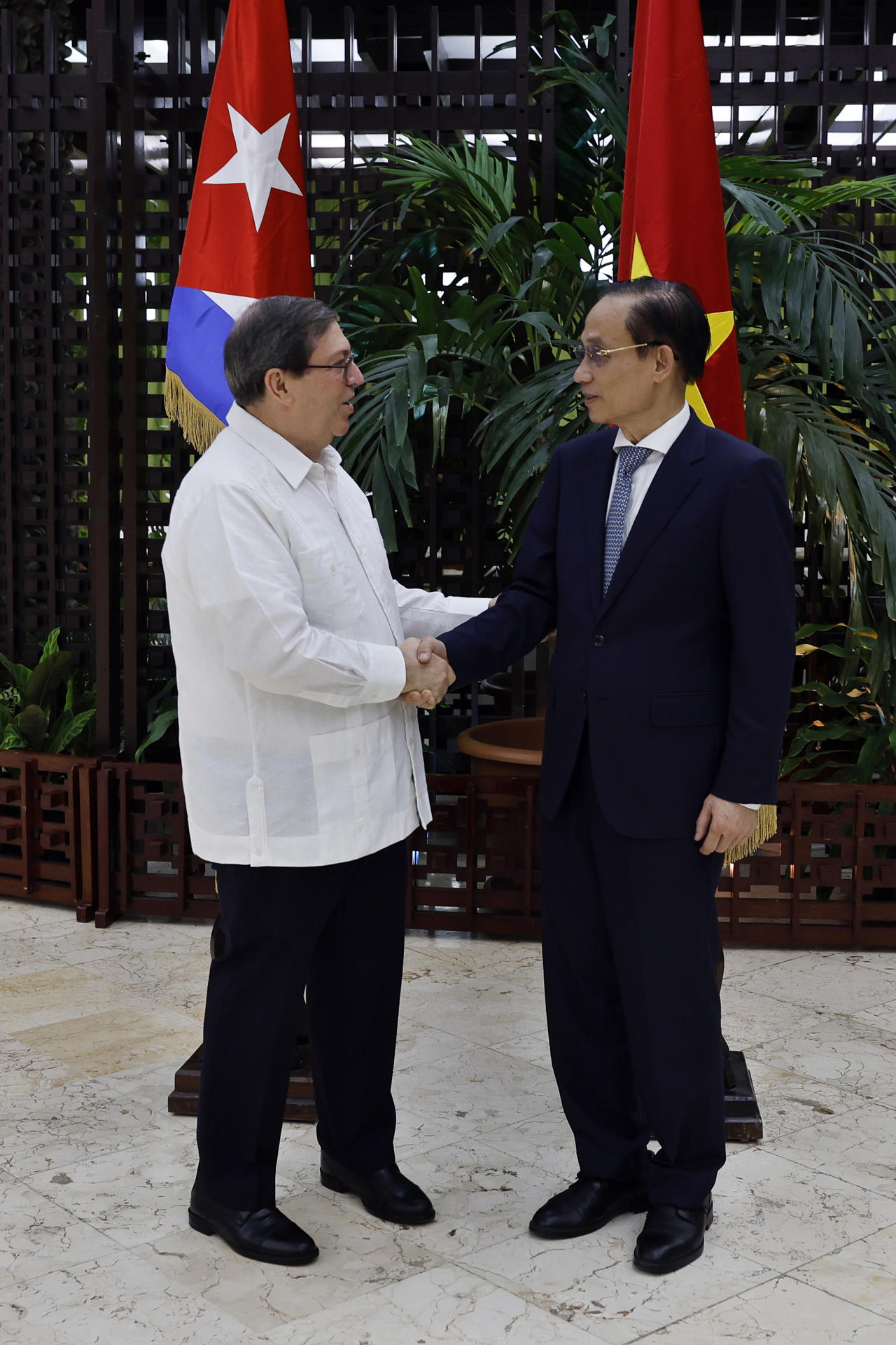 AME3403. LA HABANA (CUBA), 22/06/2026.- El ministro de Relaciones Exteriores de Vietnam, Le Hoai Trung (d), estrecha la mano del presidente del Instituto Cubano de Amistad con los Pueblos (ICAP), Fernando González Llort, durante un encuentro oficial este lunes, en La Habana (Cuba). Le Hoai Trung, arribó a La Habana para una visita oficial a la isla como enviado especial del secretario general del Partido Comunista de Vietnam y presidente de la nación asiática, To Lam, informó una nota de la cancillería cubana. EFE/ Norlys Perez/ POOL
