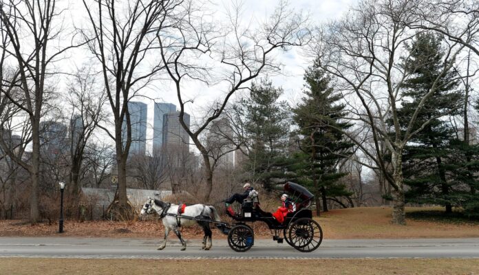 Un carruaje a caballo recorre el Parque Central en Nueva York (EE.UU). Imagen de archivo. EFE/JUSTIN LANE
