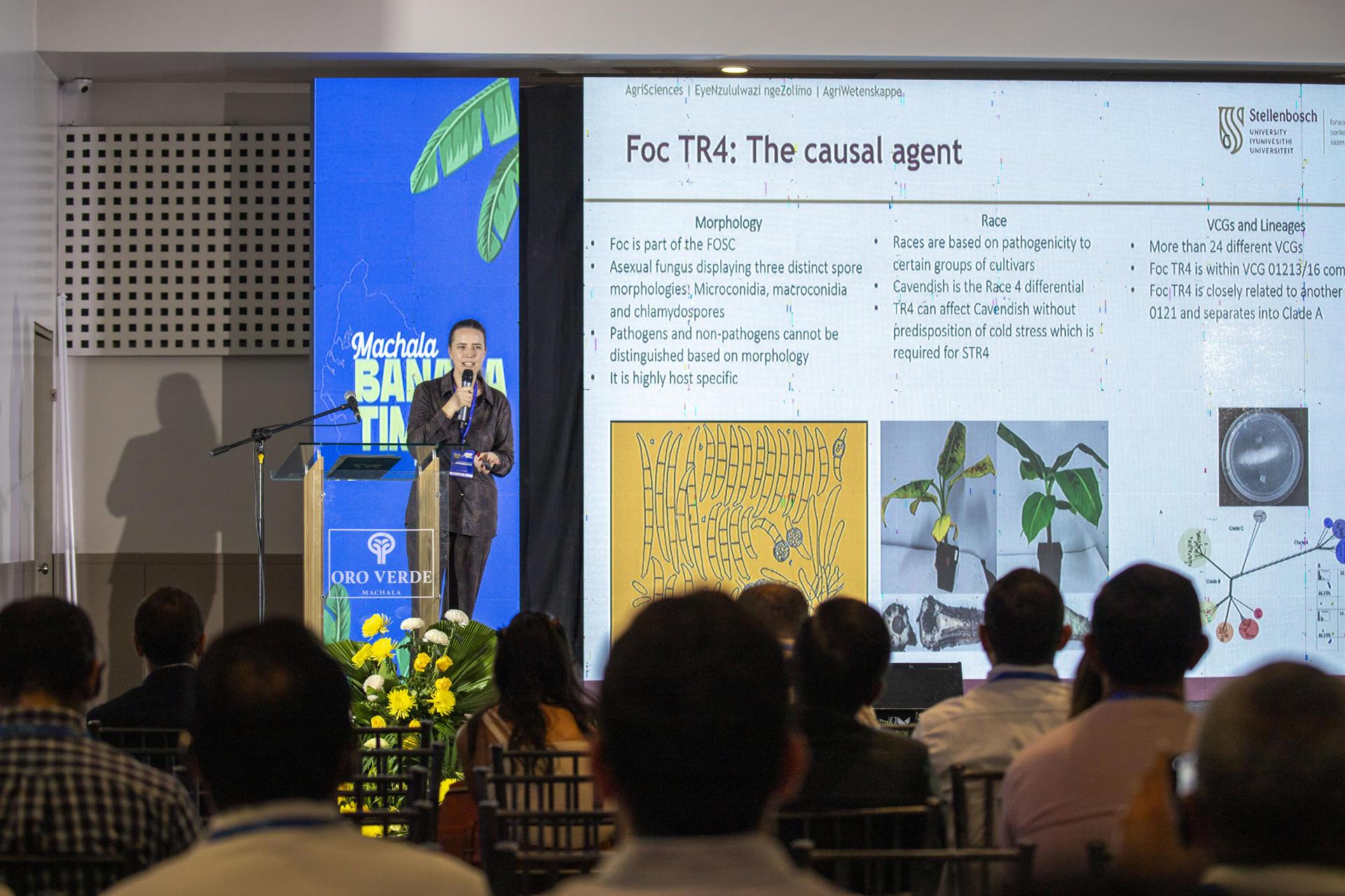 Fotografía del 17 de junio de 2026 cedida por la Asociación de Exportadores de Banano de Ecuador (AEBE) que muestra a la directora técnica en la Universidad Stellenbosch, la sudafricana Diane Mostert, hablando durante la quinta edición del Banana Time en Machala (Ecuador). EFE/ AEBE