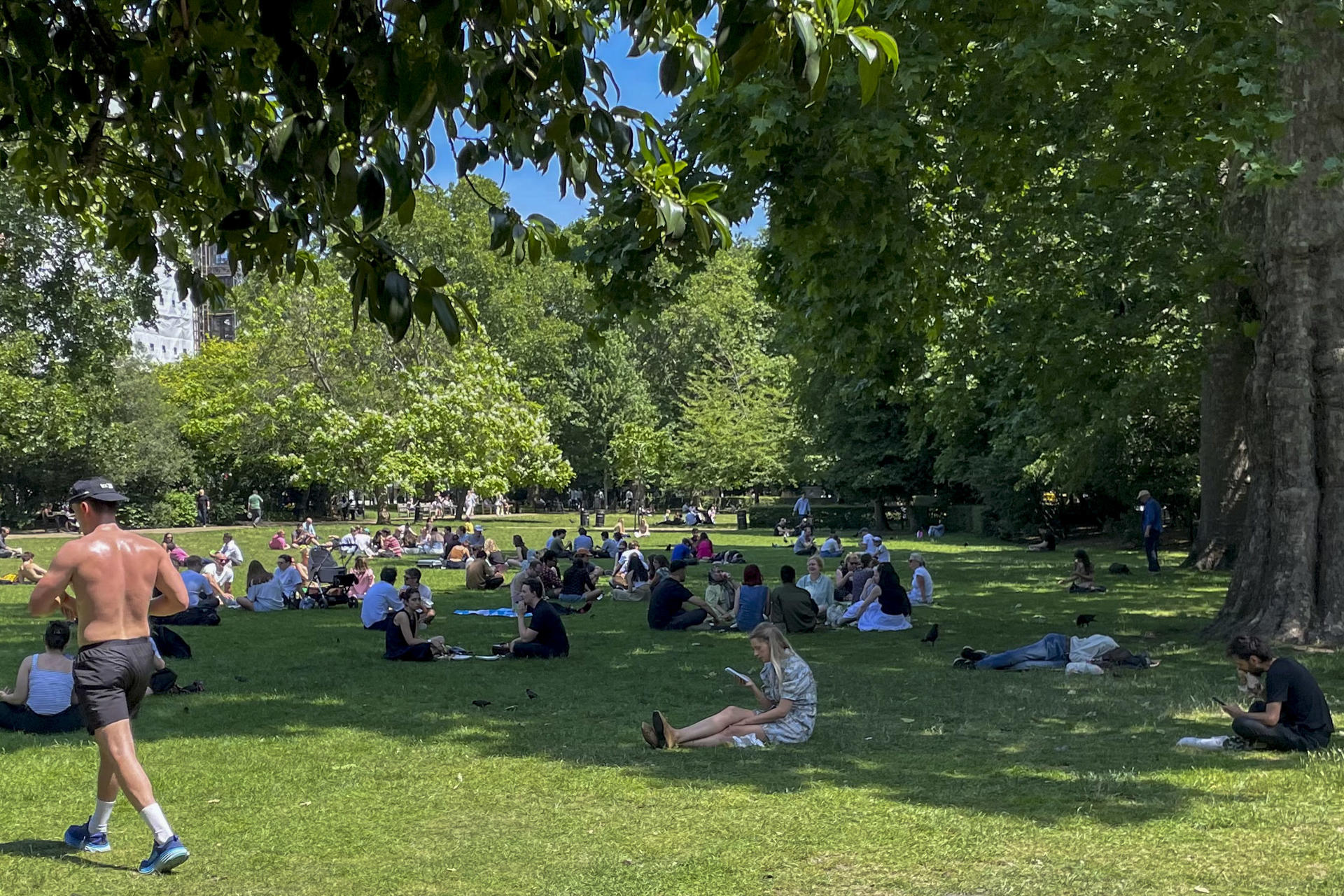 Varias personas aprovechan la sombre de los árboles en un parque de Londres. EFE/ Luis Campello Agullo
