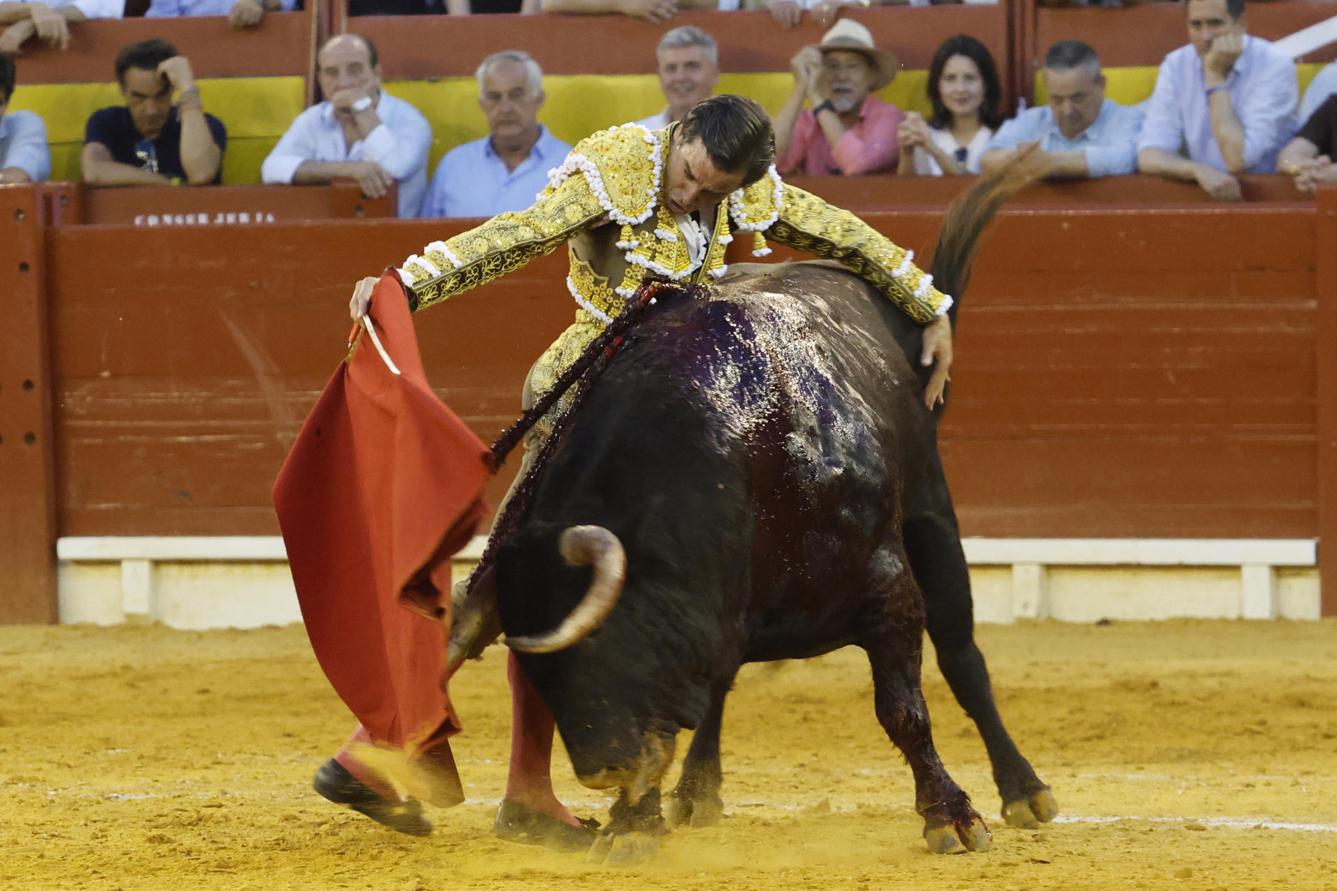 El diestro Juan Ortega de un pase a uno de sus astados durante la corrida de la Feria de Hogueras celebrada este martes en la plaza de toros de Alicante. EFE/Pablo Miranzo
