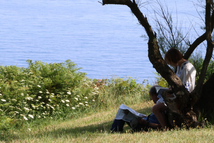 Dos personas leen en una zona verde junto al mar este miércoles en Santander (norte de España) para paliar el calor de la ola que afecta al país incluidas temperaturas muy elevadas en el norte peninsular. EFE/ Celia Agüero Pereda
