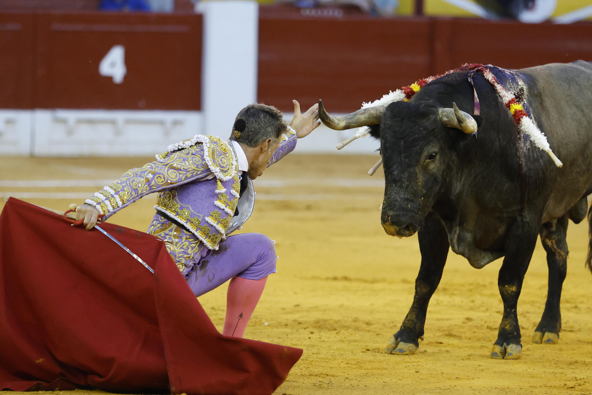 El diestro Manuel Escribano durante el festejo taurino de la Feria de las Hogueras celebrado este miércoles en la plaza de toros de Alicante. EFE/ Pablo Miranzo
