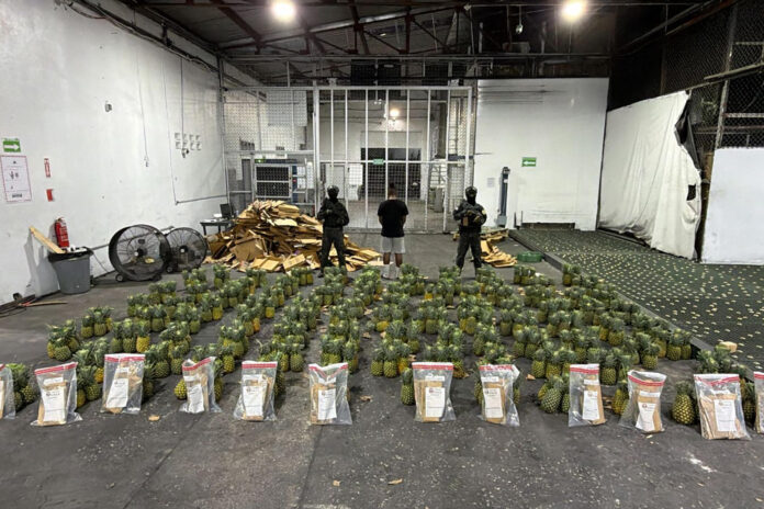 Fotografía cedida este 24 de junio por la Dirección Nacional de Control de Drogas (DNCD) de República Dominicana en la que se captó el decomiso de 30 kilos de presunta cocaína ocultos en un cargamento de piñas cuyo destino final era Afganistán, en Santo Domingo (República Dominicana). EFE/DNCD
