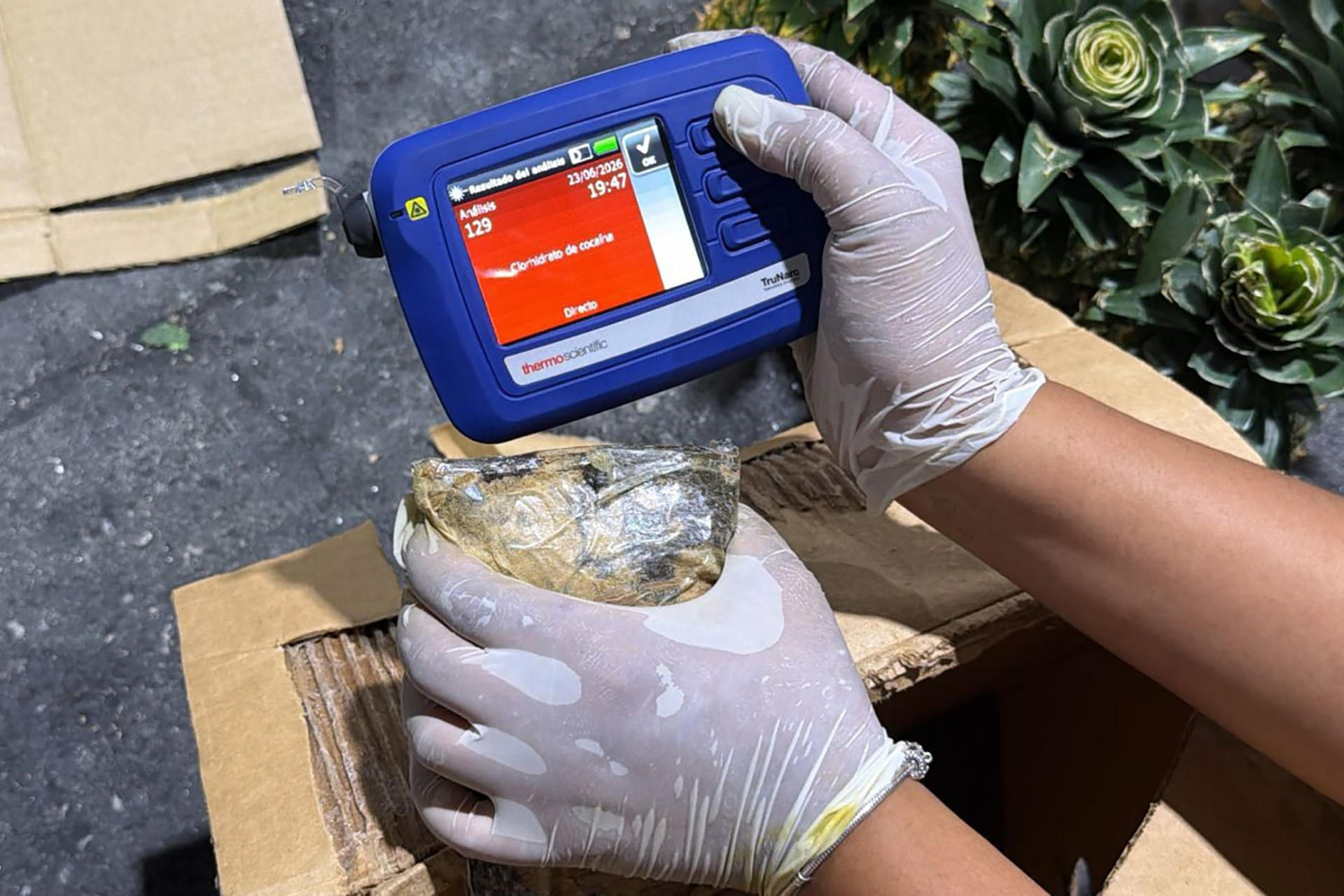 Fotografía cedida este 24 de junio por la Dirección Nacional de Control de Drogas (DNCD) de República Dominicana en la que se captó el detalle de un decomiso de 30 kilos de presunta cocaína ocultos en un cargamento de piñas cuyo destino final era Afganistán, en Santo Domingo (República Dominicana). EFE/DNCD
