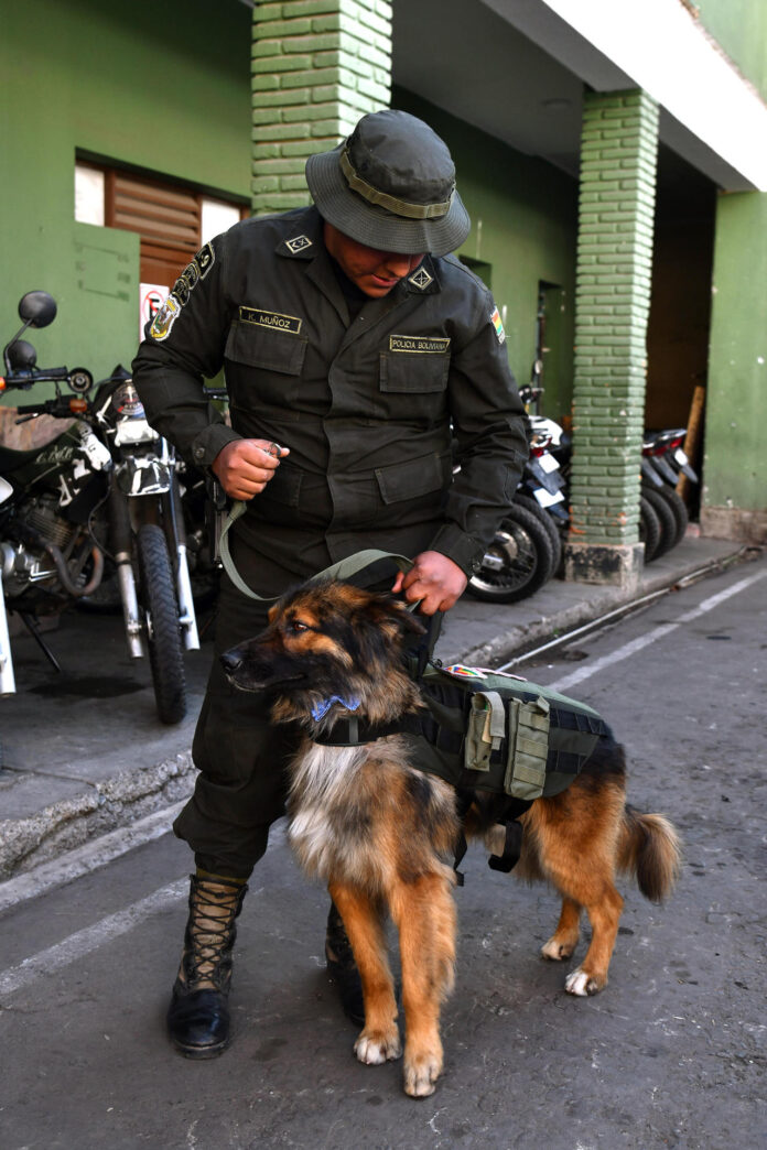 Un integrantes de la Policía Boliviana posa junto a Rex durante un acto de condecoración este miércoles, en Cochabamba (Bolivia). EFE/ Jorge Abrego
