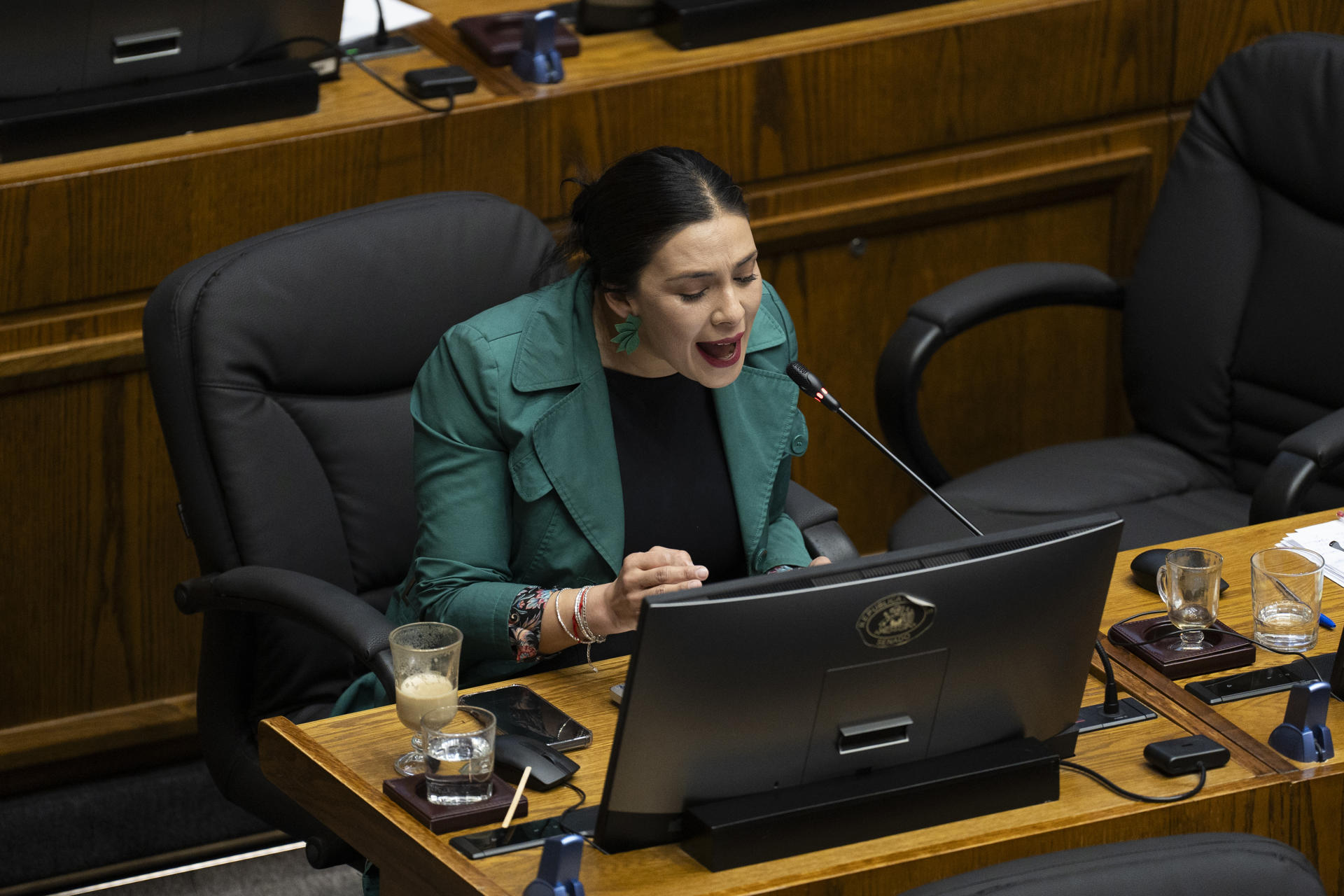 La senadora del Partido Comunista Karol Cariola habla durante la votación del proyecto de Reconstrucción Nacional y el Desarrollo Económico y Social, este miércoles en el Congreso Nacional, en Valparaíso (Chile). EFE/Adriana Thomasa
