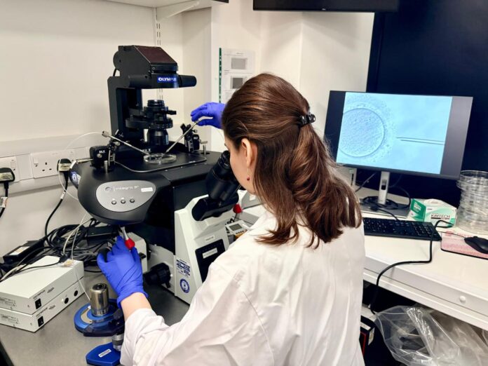 La investigadora Katarina Harasimov realizando una edición de bases en el laboratorio. Crédito: Centro Loke de Investigación sobre Trofoblastos de la Universidad de Cambridge.
