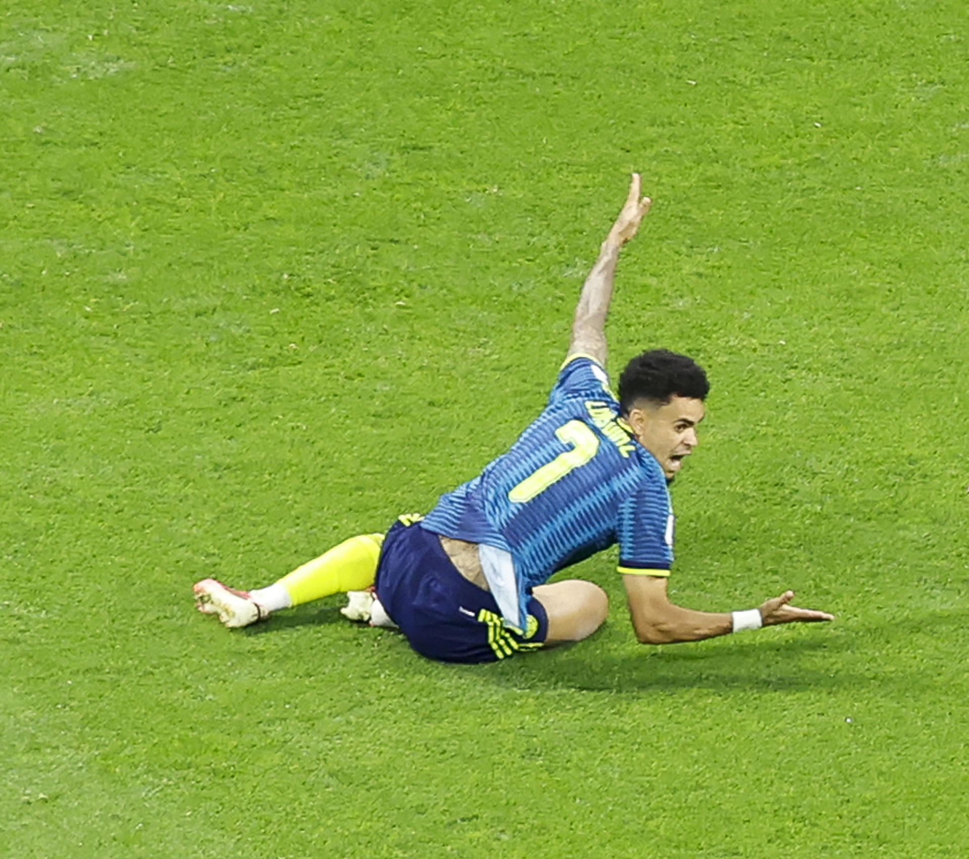 El colombiano Luis Díaz tendrá este sábado un mano a mano especial en Miami con el portugués Cristiano Ronaldo, un duelo de 7 a 7 para dirimir el liderato del Grupo K del Mundial. EFE/ Sashenka Gutiérrez
