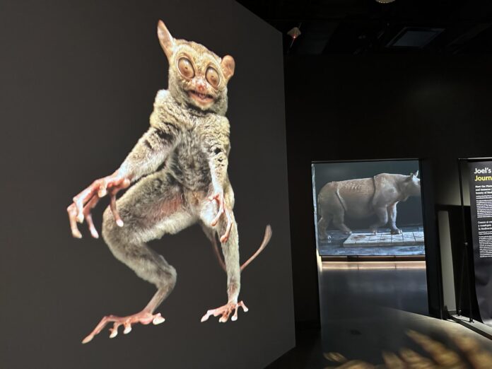 Fotografía del 22 de junio de una exhibición de imágenes de la vida animal expuestas en el Museo de la Exploración de la NatGeo, el nuevo museo de la National Geographic en Washington. Visitantes de todas las edades podrán convertirse en exploradores por un día en el nuevo museo de la National Geographic, que abre sus puertas este viernes en Washington con cientos de artefactos, espacios interactivos y una experiencia inmersiva para 
