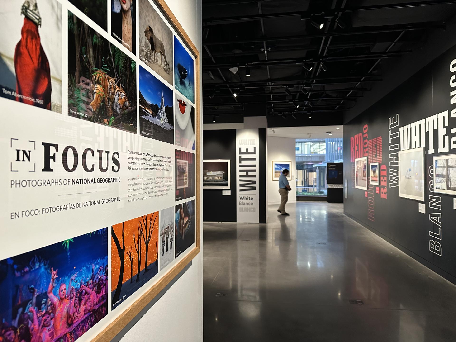 Fotografía del 22 de junio de la sección 'En Foco', una exhibición de fotografías de National Geographic expuestas en el Museo de la Exploración de la NatGeo, el nuevo museo de la National Geographic en Washington. Visitantes de todas las edades podrán convertirse en exploradores por un día en el nuevo museo de la National Geographic, que abre sus puertas este viernes en Washington con cientos de artefactos, espacios interactivos y una experiencia inmersiva para "tocar" la historia de la emblemática sociedad. EFE/Stefani Raguso
