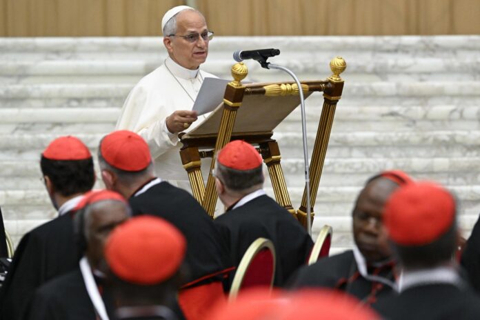 El papa León XIV se dirige a los cardenales en el Consistorio que se celebra en el Vaticano. EFE/EPA/VATICAN MEDIA/Simone Risoluti HANDOUT HANDOUT EDITORIAL USE ONLY/NO SALES
