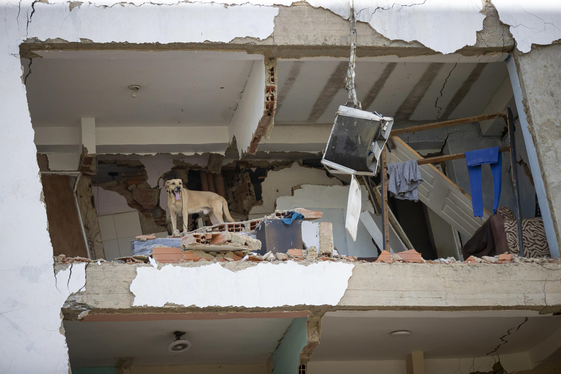 Detalle de un edificio derruido en Catia la Mar, Venezuela, mientras continúa la búsqueda entre los escombros de los edificios, este viernes. Recostados en colchones, sábanas, sillas, carpas y campamentos improvisados, cientos de personas duermen en el asfalto, jardineras, plazas y canchas en Catia La Mar, una de las ciudades más afectadas por los terremotos de magnitud 7,2 y 7,5 ocurridos el miércoles en Venezuela y que se han cobrado la vida de 235 personas. EFE/ Ronald Peña R
