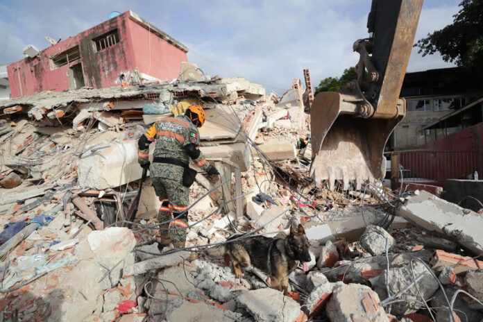 Un rescatista del Ejercito de México junto a su perro trabajan en un edificio afectado en La Guaira (Venezuela). EFE/ Ronald Peña R
