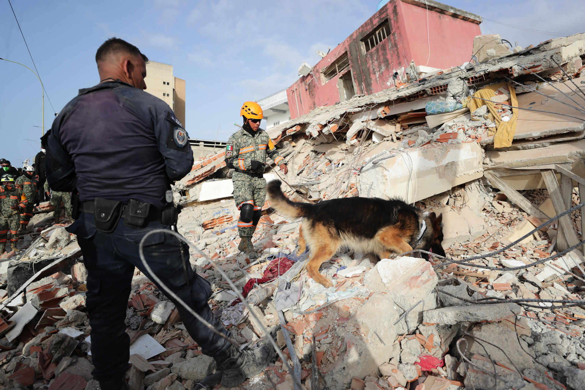 Un rescatista del Ejercito de México junto a su perro trabajan en un edificio afectado por los terremotos en La Guaira (Venezuela). EFE/ Ronald Peña R
