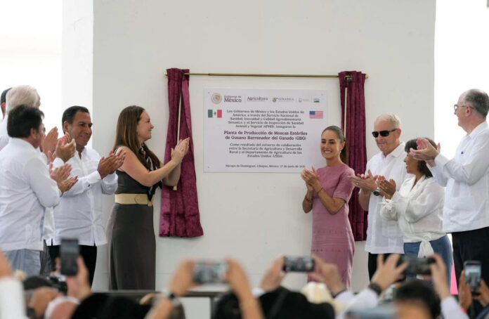 Fotografía cedida por la Presidencia de México de su mandataria, Claudia Sheinbaum (4-d), y la secretaria de Agricultura de Estados Unidos, Brooke Rollins (3-i), durante un acto protocolario este sábado, en el municipio Metapa de Domínguez en Chiapas (México). EFE/Presidencia de México/SOLO USO EDITORIAL/NO VENTAS/SOLO DISPONIBLE RAPA ILUSTRAR LA NOTICIA QUE ACOMPAÑA (CRÉDITO OBLIGATORIO)
