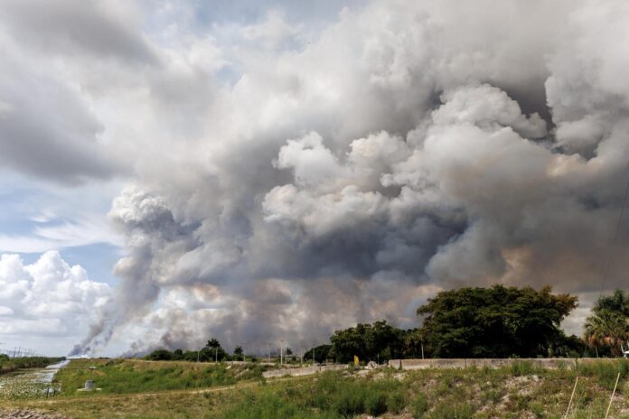 Imagen de archivo. EFE/EPA/CRISTOBAL HERRERA-ULASHKEVICH
