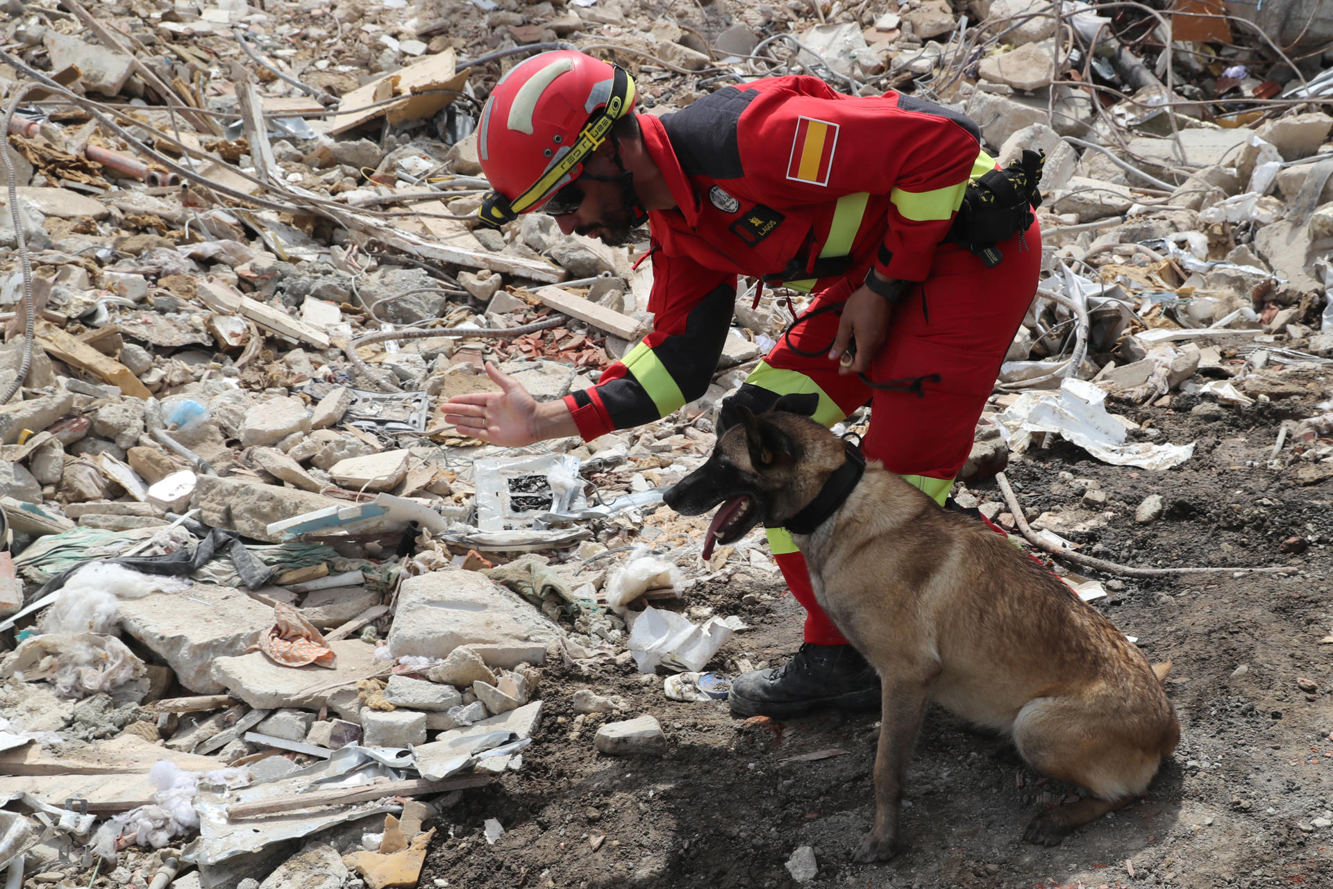 Un rescatista de España trabaja junto a un perro en medio de escombros de edificaciones destruidas este martes, en La Guaira (Venezuela). EFE/ Raúl Martínez