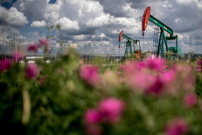 Vista general de la estación de bombeo de petróleo de la empresa checa MND en Uhrice, República Checa. EFE/Martin Divisek
