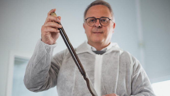 El biólogo marino Franck Zal, Premio Inventor Europeo de 2026 de la Oficina Europea de Patentes (OEP) en la categoría de pymes, por su desarrollo de un transportador universal de oxígeno basado en la hemoglobina extracelular de los gusanos marinos para conservar órganos y tejidos destinados al trasplante. EFE/OEP

