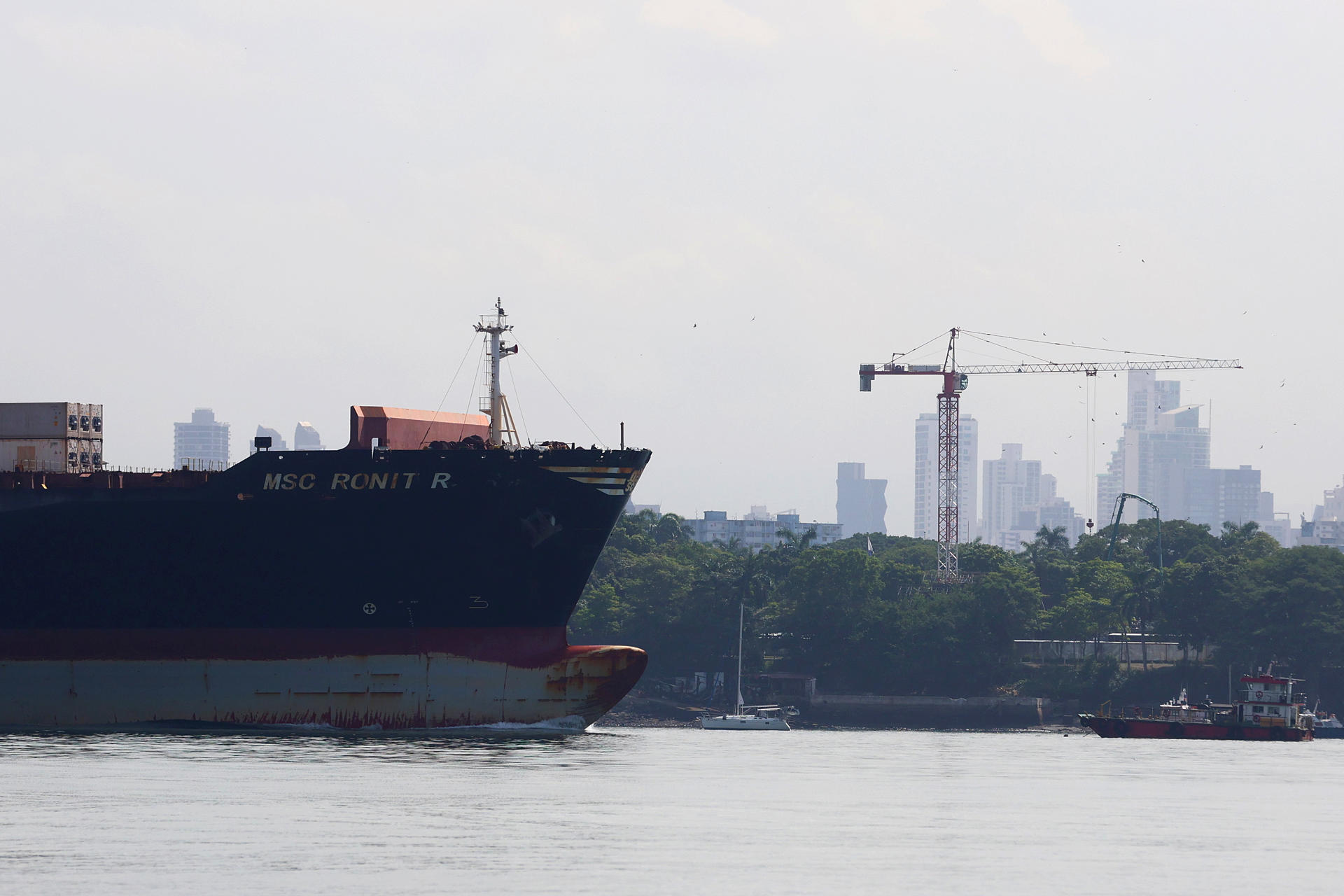 Fotografía que muestra un barco de carga navegando este jueves, en el Canal de Panamá (Panamá). EFE/ Carlos Lemos
