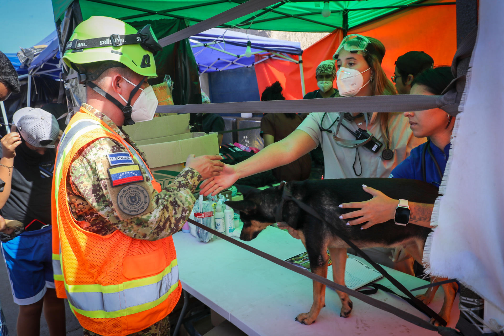 Médicas veterinarias hablan con un Integrante del Ejercito del Salvador mientras brindan asistencia a un perro en una carpa de atención veterinaria este jueves, en La Guaira (Venezuela). EFE/ Raúl Martínez

