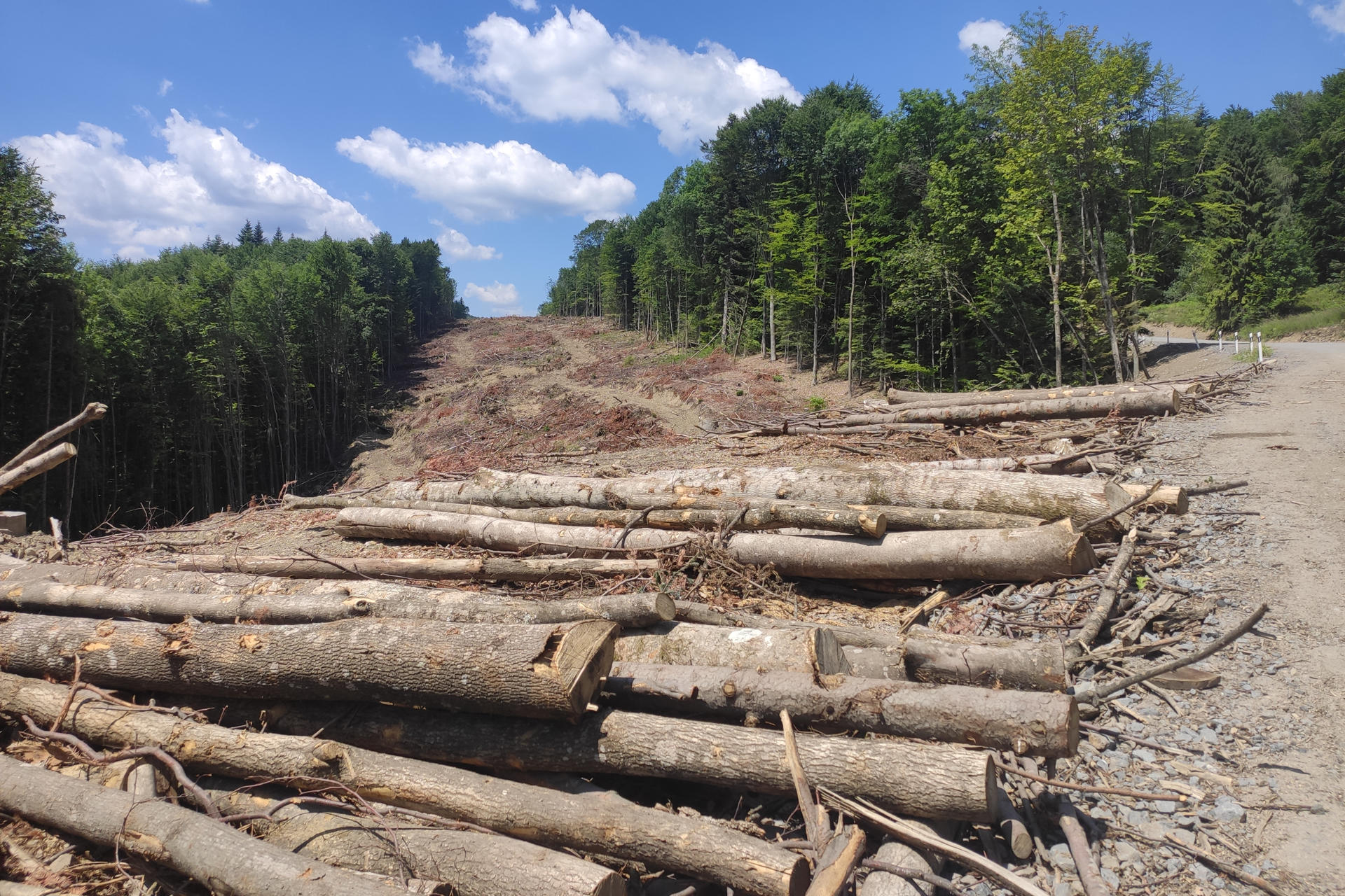 .- Los ecologistas afirman que el principal daño irreparable a las montañas y los ecosistemas proviene de las obras realizadas para instalar y mantener los aerogeneradores en regiones remotas, lo que incluye la tala de grandes extensiones de bosque y la construcción de carreteras de gran envergadura a través de paisajes vírgenes. Los planes de construir decenas de aerogeneradores en algunas de las crestas más altas de los Montes Cárpatos ucranianos occidentales, como parte del esfuerzo por descentralizar la generación eléctrica ante los ataques rusos, generan preocupación entre residentes y ecologistas, que temen daños irreparables a uno de los paisajes naturales más prístinos de Europa. EFE/ Rostyslav Averchuk

