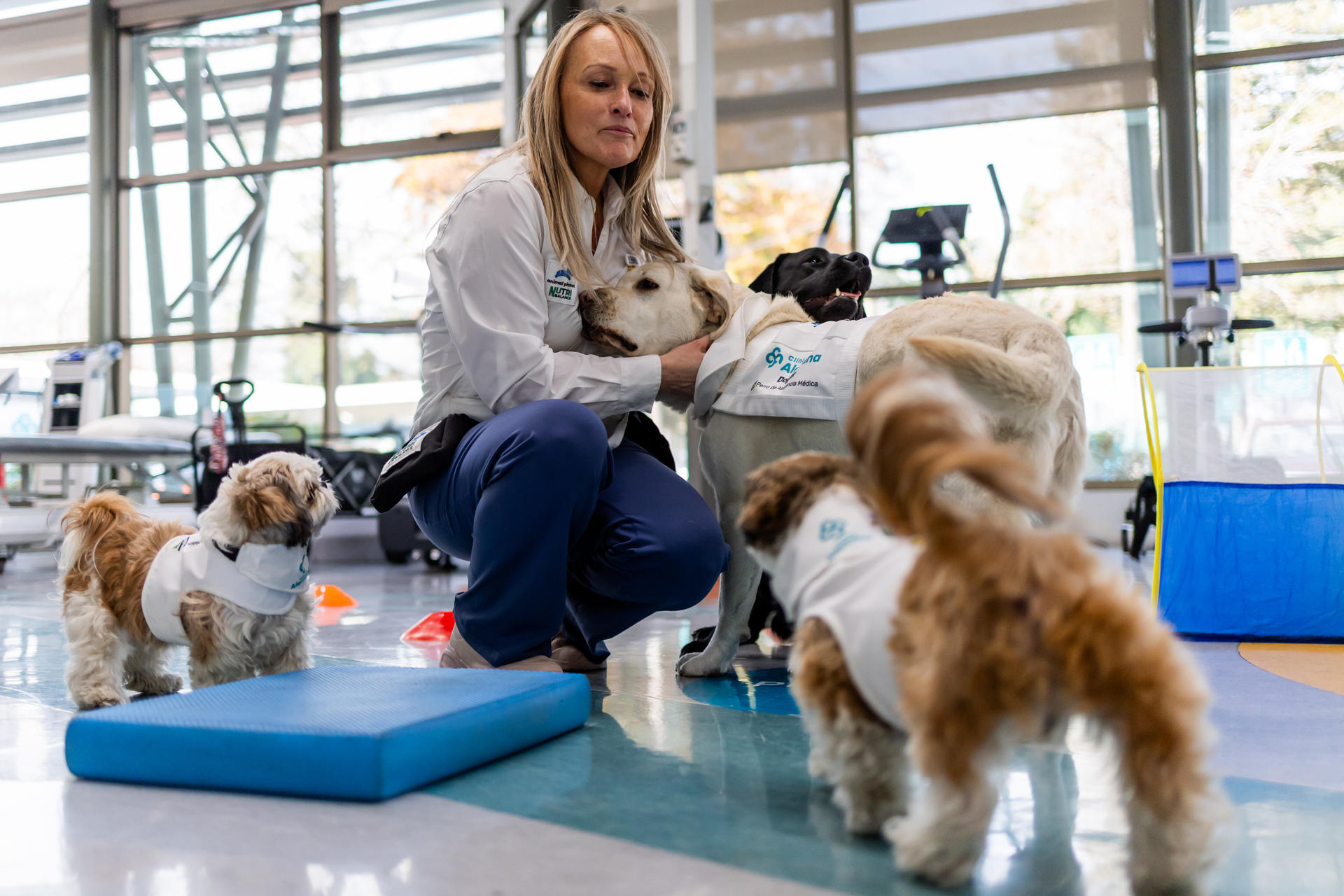 Fotografía que muestra una integrante de la clínica Alemana participa en una terapia con perritos 'dogtores' en Santiago (Chile). EFE/ Javier Torres Lantadilla
