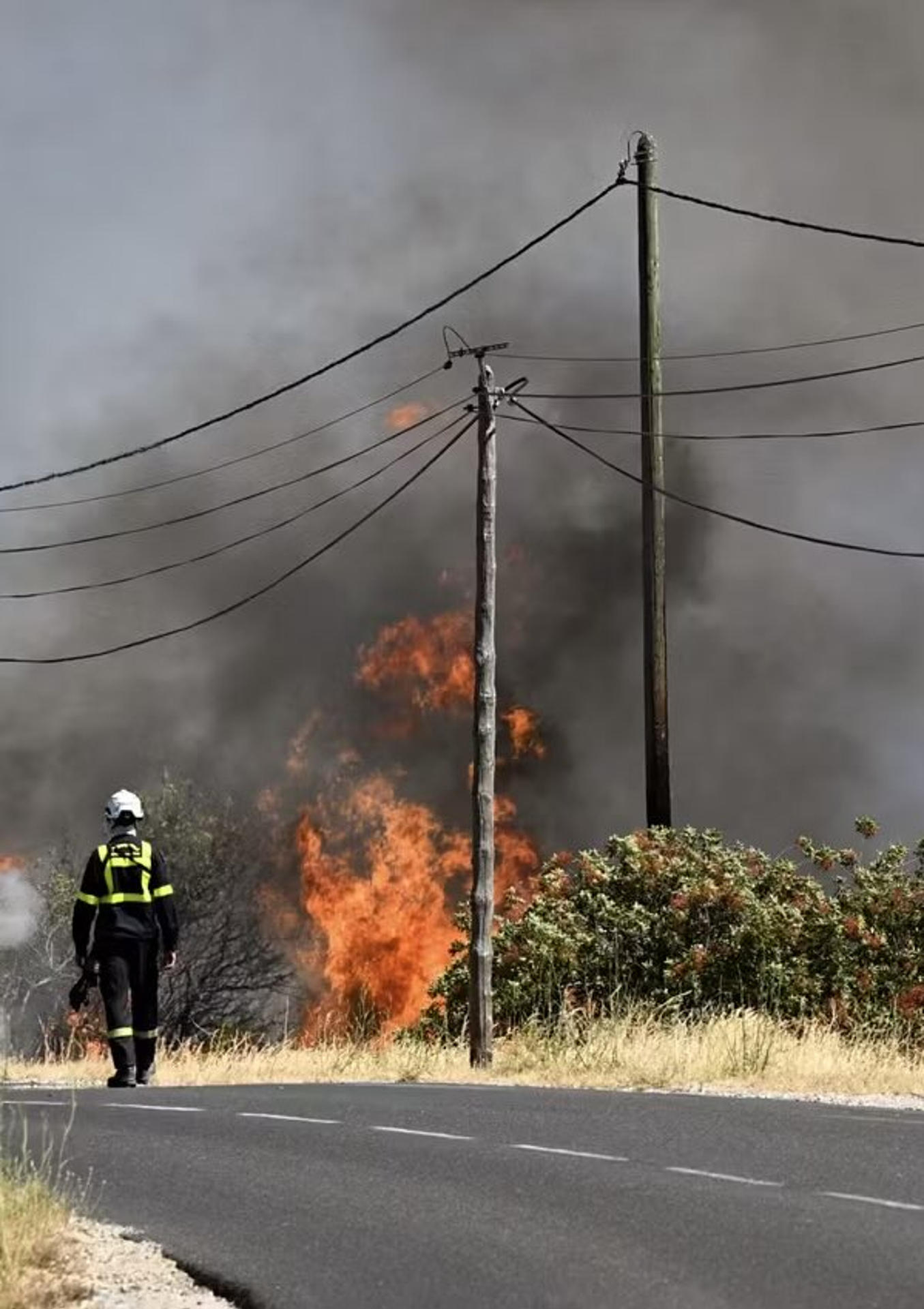 Emergencia en Francia: Incendio forestal calcina 4.600 hectáreas y obliga a evacuar a miles de personas en Perpiñán
