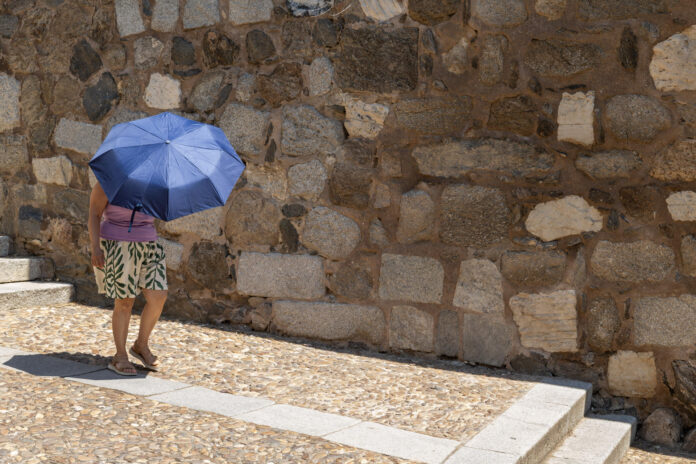 Una mujer se protege del calor con un paraguas durante este lunes en Valencia. EFE/Biel Aliño
