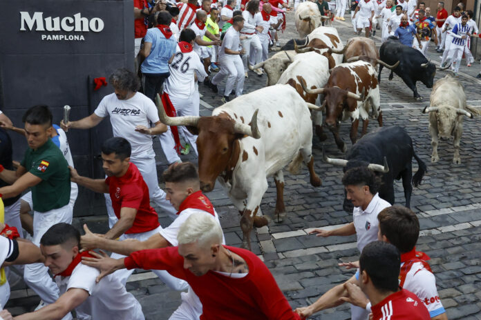 Los toros de la ganadería Fuente Ymbro en el primer encierro de los Sanfermines 2026, este martes en Pamplona. EFE/Jesús Diges
