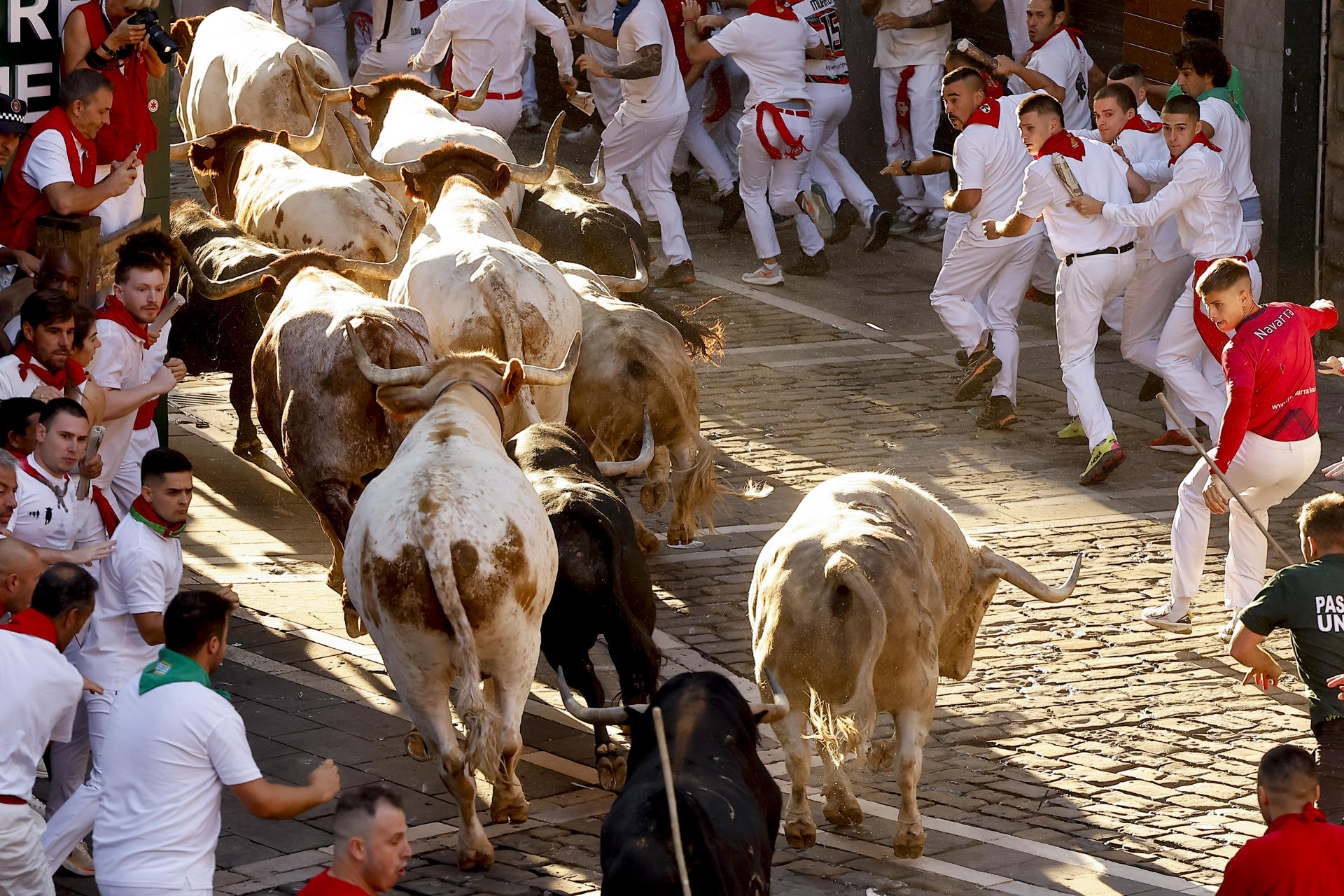 Los toros de la ganadería gaditana de Fuente Ymbro persiguen a los mozos durante el primer encierro de los Sanferimes 2026, este martes en Pamplona. EFE/Villar López