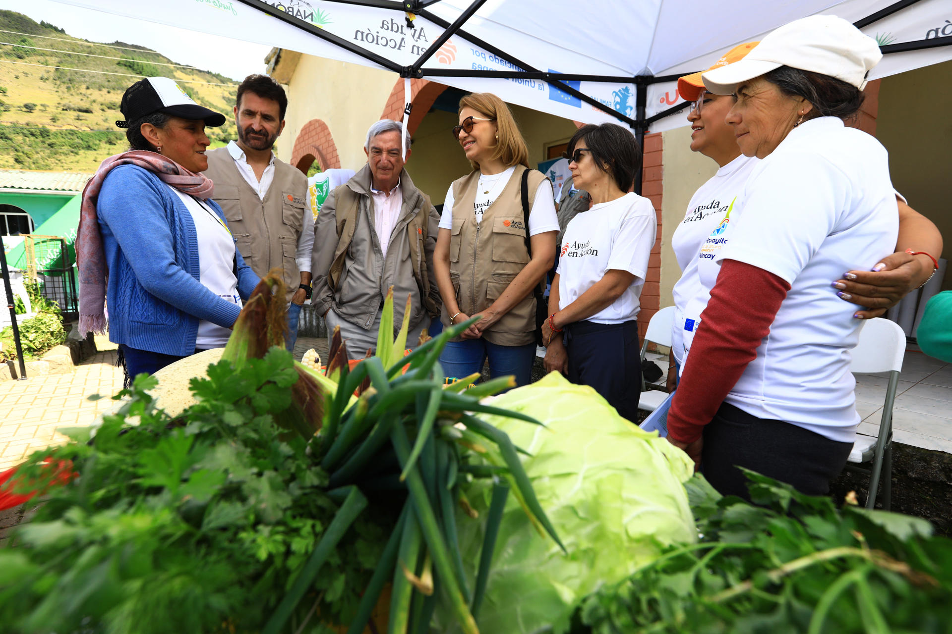 En los Andes ecuatorianos, donde el agua potable escasea y la pobreza afecta a ocho de cada diez personas, hay una transformación promovida por proyectos de cooperación internacional y desarrollo que ha mejorado las condiciones de vida con cuyes, leche, café y agua potable para empezar a vencer la pobreza y la desnutrición. EFE/ Robert Puglla
