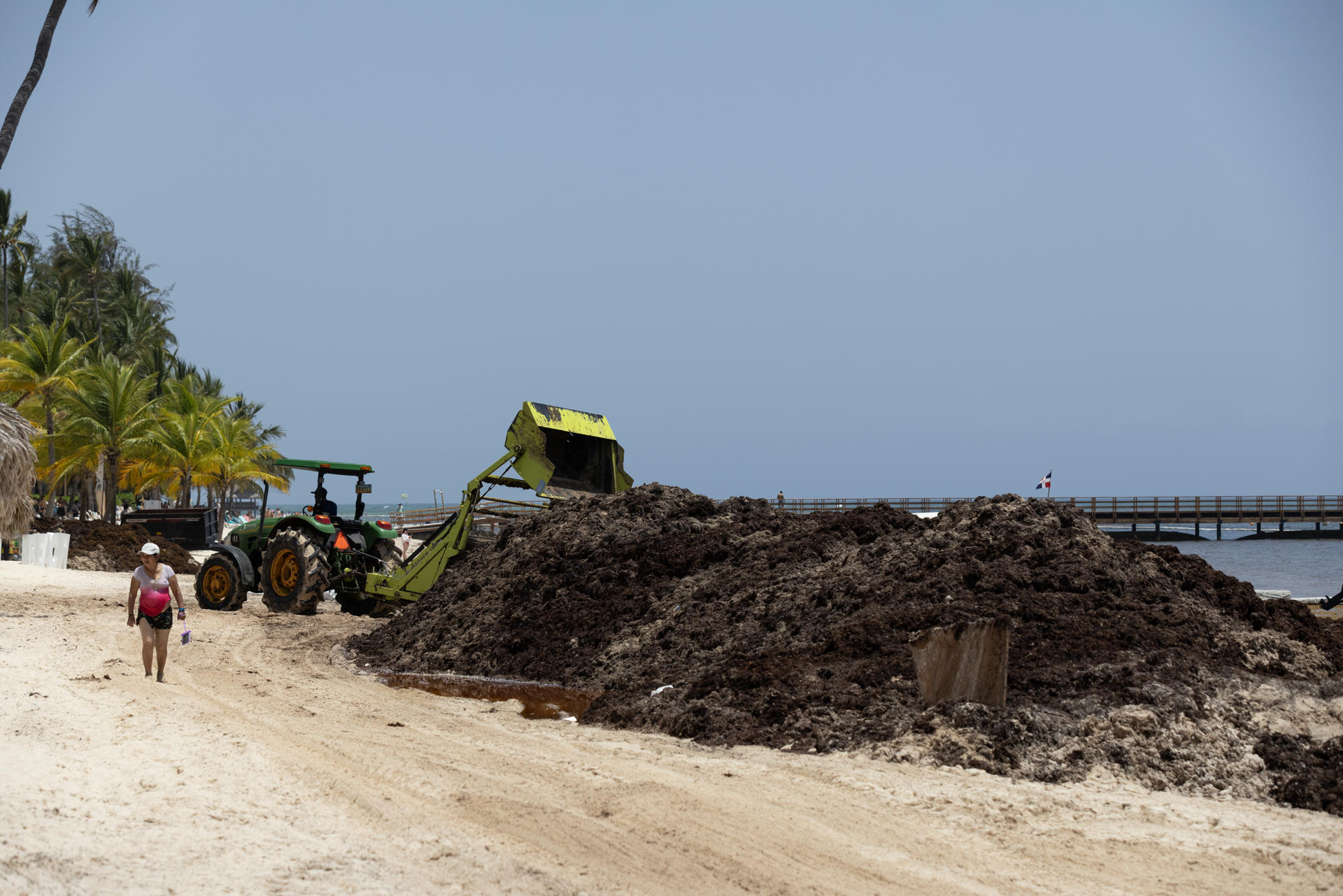 Fotografía del 30 de junio de 2026 que muestra a una turista caminando en una playa con sargazo acumulado en la orilla en Punta Cana (República Dominicana). EFE/ Orlando Barría
