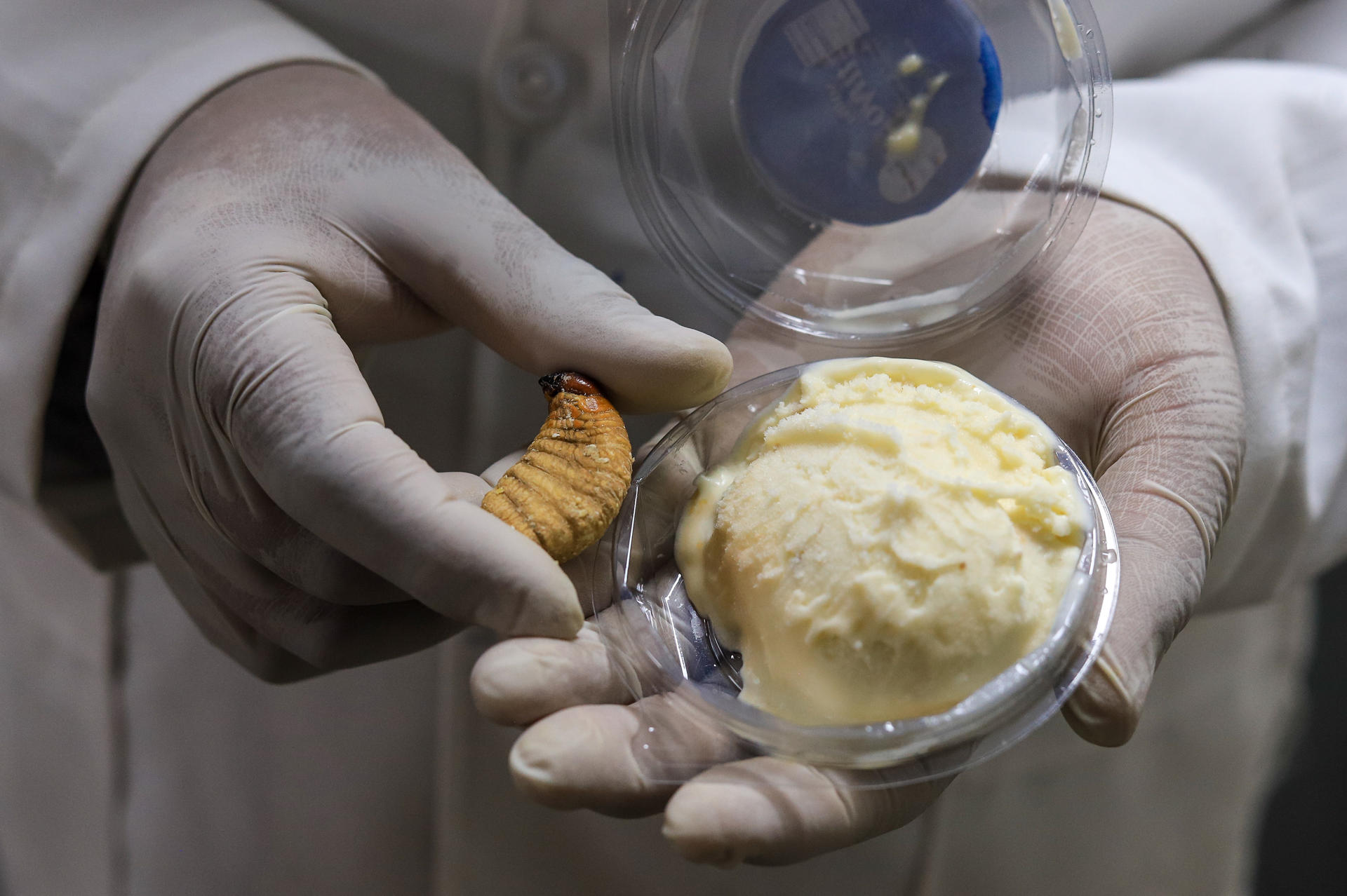 Una persona sostiene un helado elaborado con larvas de escarabajo en un laboratorio de la Universidad Mayor de San Andrés (UMSA) este martes, en La Paz (Bolivia). EFE/ Gabriel Márquez
