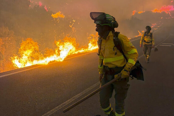 Bomberos trabajan en el incendio en el que seis personas han muerto en el municipio almeriense de Los Gallardos, en concreto en una pedanía del municipio vecino de Bédar, habiendo sido halladas algunas de las víctimas en el interior de vehículos que fueron alcanzados por las llamas. EFE/Emergencias Andalucía SÓLO USO EDITORIAL, PERMITIDO SU USO SÓLO EN RELACIÓN A LA INFORMACIÓN QUE APARECE EN EL PIE DE FOTO (CRÉDITO OBLIGATORIO)
