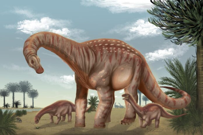 Imagen cedida por la Facultad de Ciencias de la Universidad de la República (Udelar) de Uruguay que muestra una ilustración del Mesetasaurus protector, una nueva especie de dinosaurio gigante que habitó el actual territorio nacional hace unos 80 millones de años, durante el período Cretácico Tardío.EFE/ Facultad de Ciencias de la Universidad de la República (Udelar) de Uruguay
