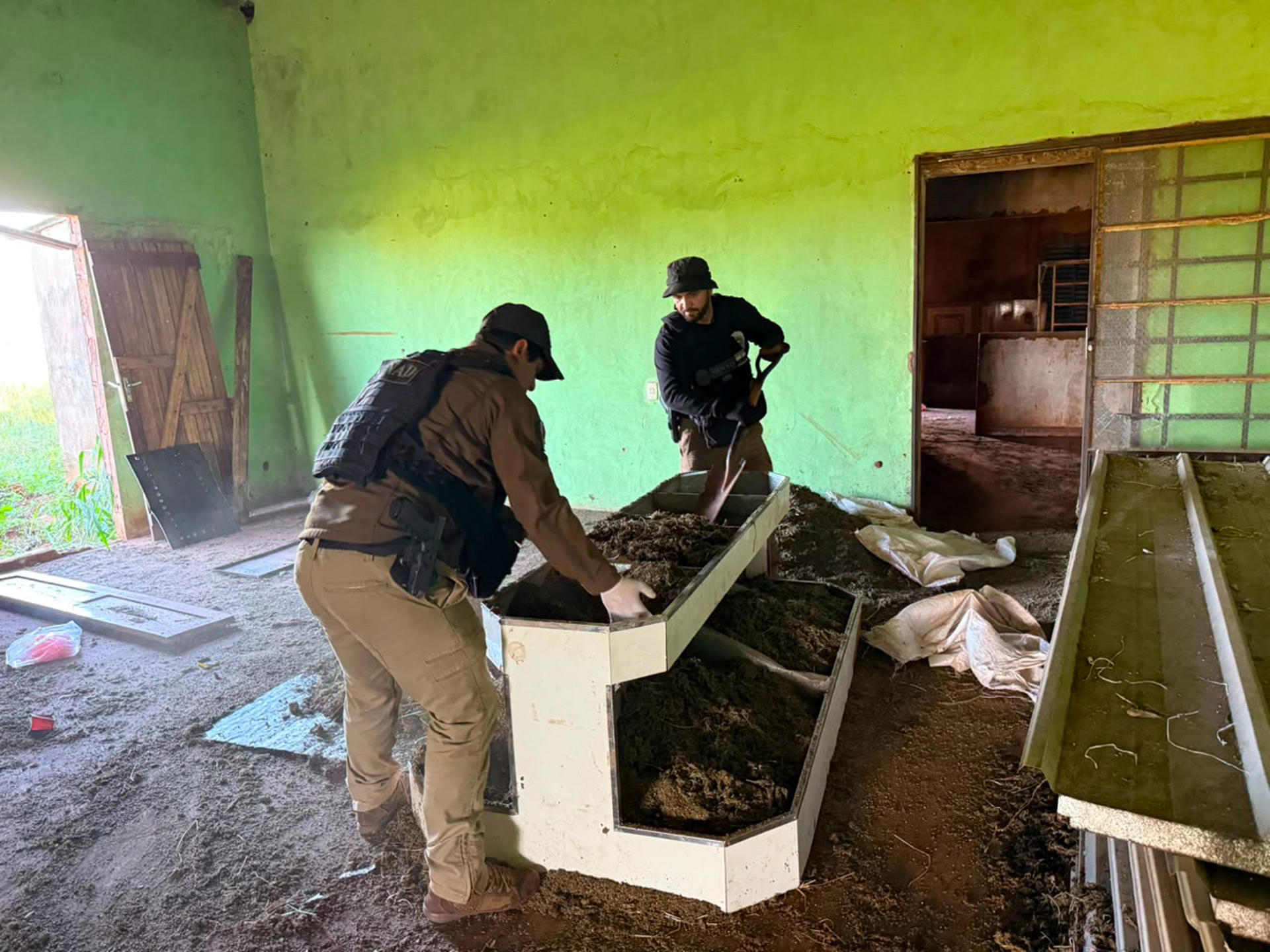 Fotografía cedida por la Secretaría Nacional Antidrogas de Paraguay (Senad) que muestra a un funcionario destruyendo 5,5 toneladas de marihuana almacenadas en un inmueble en Capitán Bado. EFE/ Secretaría Nacional Antidrogas de Paraguay (Senad).
