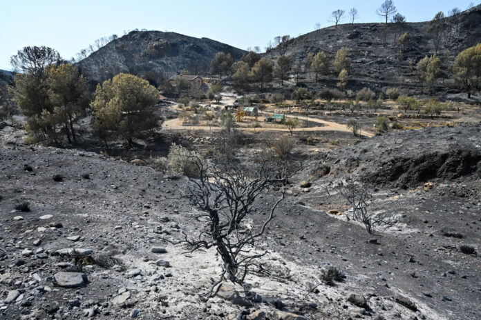 Vista del área calcinada en el municipio almeriense de Béda . La superficie afectada por el incendio forestal originado en Los Gallardos (Almería), con doce fallecidos, se ha elevado a 6.600 hectáreas por los avances registrados durante la pasada jornada, que obligaron a ampliar el perímetro ante la presencia de focos y frentes muy activos. EFE/Carlos Barba
