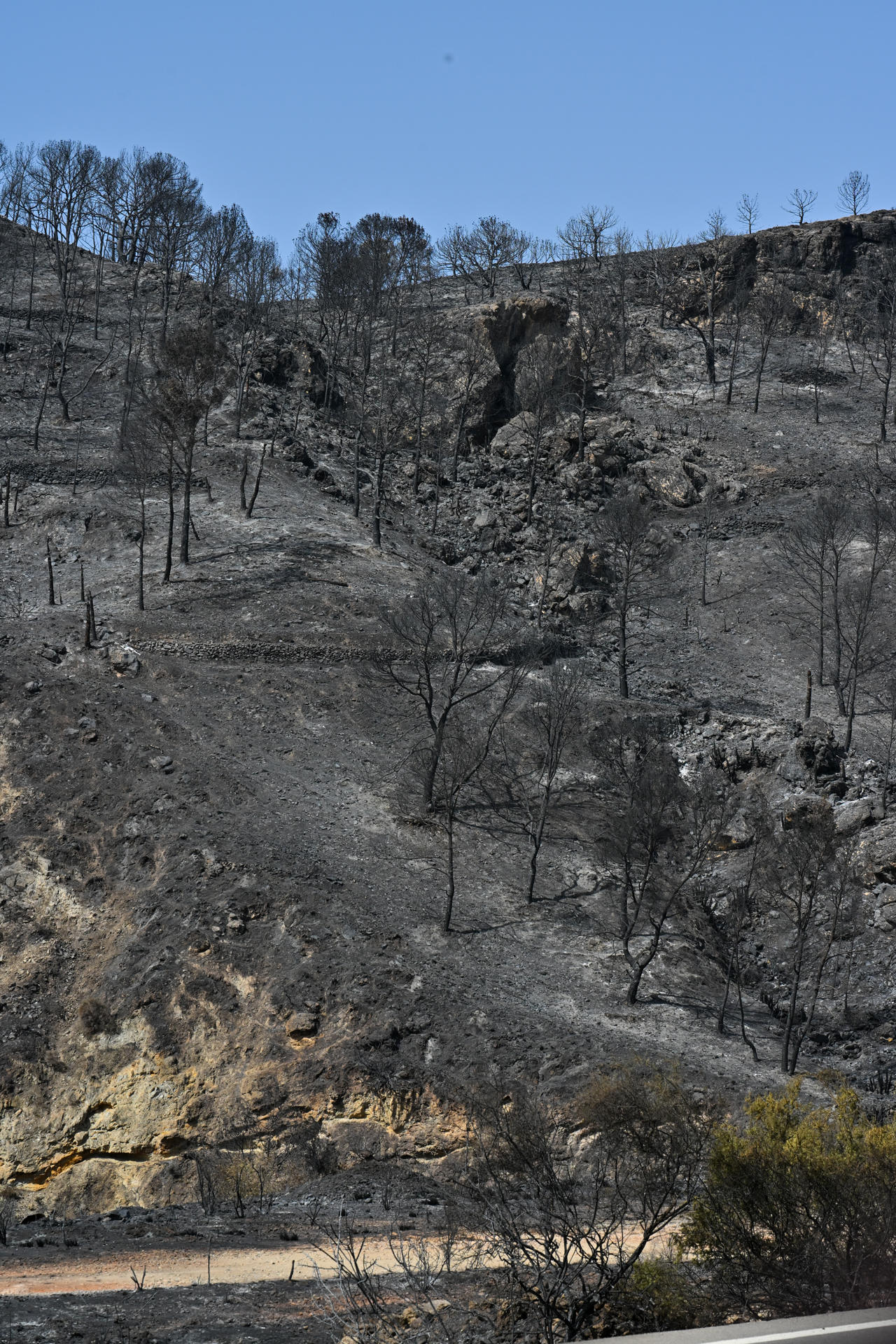 Vista del área calcinada en el municipio almeriense de Béda . La superficie afectada por el incendio forestal originado en Los Gallardos (Almería), con doce fallecidos, se ha elevado a 6.600 hectáreas por los avances registrados durante la pasada jornada, que obligaron a ampliar el perímetro ante la presencia de focos y frentes muy activos. EFE/Carlos Barba
