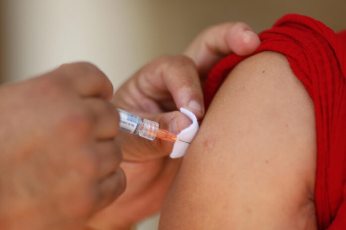 México ha registrado 24.998 casos probables de dengue en 2026, con 2.421 confirmados hasta la semana epidemiológica 22. Fotografía de archivo. EFE/ Francisco Guasco
