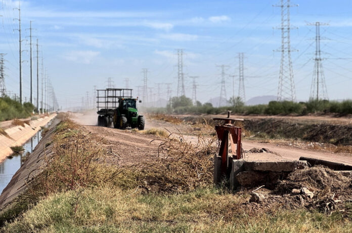 Fotografía de un campo agrícola seco en el Valle del Yaqui en Hermosillo (México). EFE/ Daniel Sánchez
