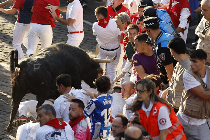 Un momento del último encierro de toros bravos de los sanfermines de Pamplona (España), celebrado este martes EFE/Villar López
