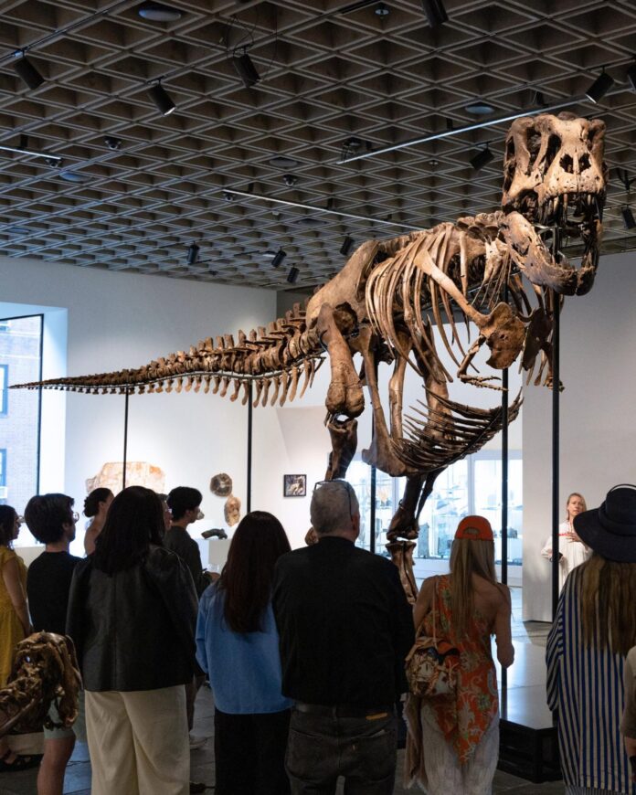 Fotografía difundida por la casa de subastas Sotheby's en su página oficial, que muestra a personas observando un ejemplar de los esqueletos de Tyrannosaurus Rex más grandes y completos que se conocen se vendió este martes por un récord de 50,1 millones de dólares en una subasta de la casa Sotheby's en Nueva York (EE.UU.). EFE/ Sothebys /SOLO USO EDITORIAL/ NO VENTAS/ SOLO DISPONIBLE PARA ILUSTRAR LA NOTICIA QUE ACOMPAÑA (CRÉDITO OBLIGATORIO)
