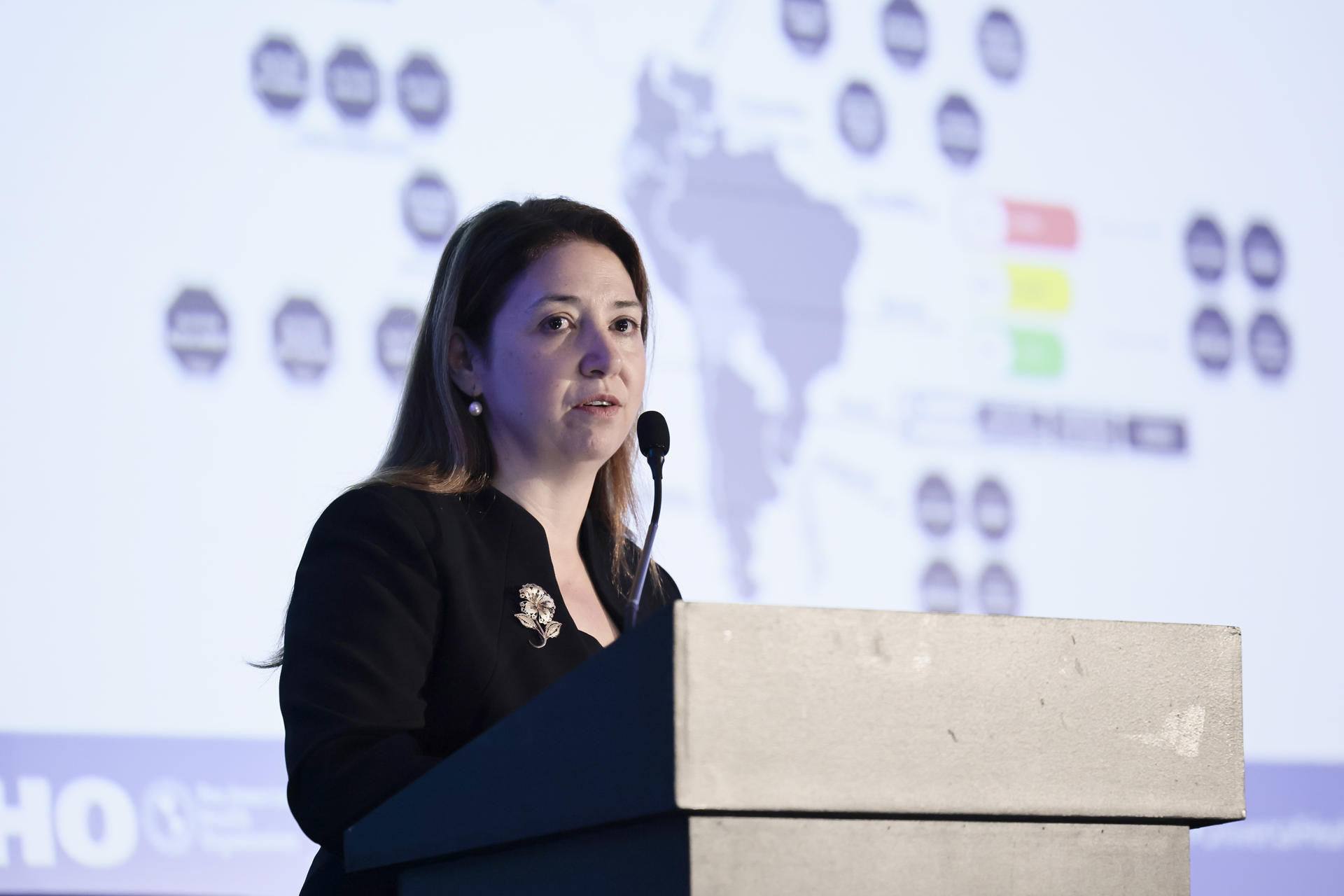 La doctora Vanessa Garcia-Larsen habla durante una rueda de prensa este miércoles, en Ciudad de México (México). EFE/José Méndez
