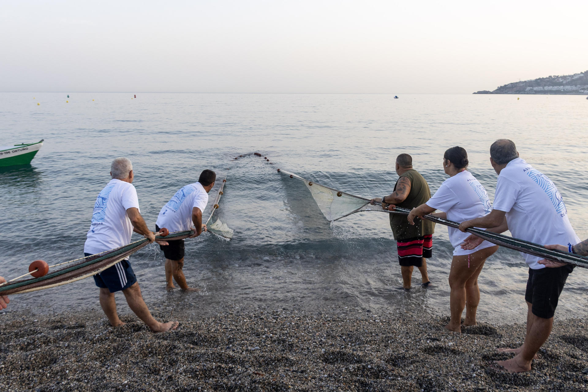 El municipio granadino de Almuñécar ha revivido por segundo año una de las tradiciones más entrañables de su pasado marinero con la recreación del tiro del copo, una ancestral práctica de pesca que desapareció de las costas andaluzas tras ser prohibida por la normativa vigente. EFE/Alba Feixas
