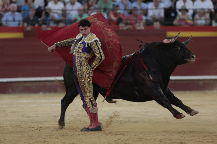 El diestro Nek Romero da un pase a su segundo astado durante el festejo de la Feria de Julio, este jueves en Valencia. EFE/ Biel Aliño

