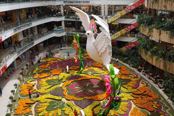 Fotografía que muestra una paloma sobre un tapete de flores exhibidos este jueves en el Centro Comercial Santafé, en Medellín (Colombia). EFE/Pablo R. Seco
